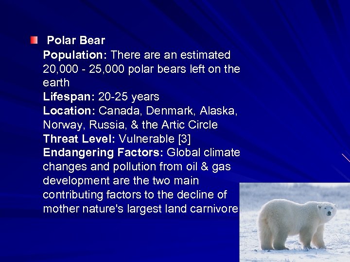  Polar Bear Population: There an estimated 20, 000 - 25, 000 polar bears