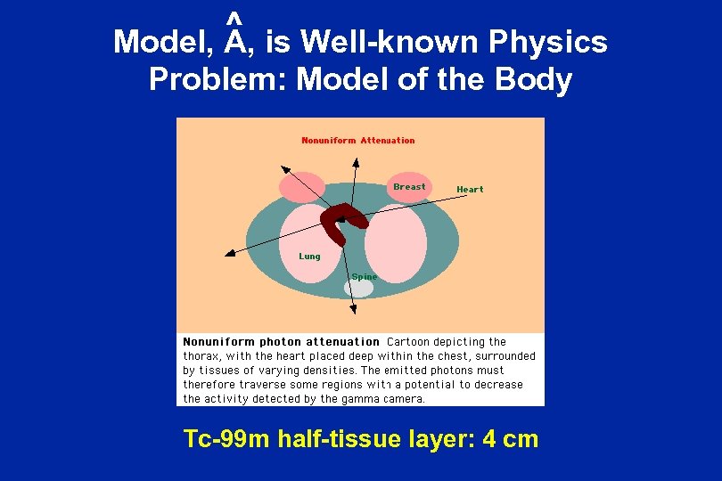 ^ is Well-known Physics Model, A, Problem: Model of the Body Tc-99 m half-tissue