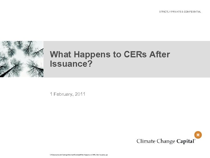 STRICTLY PRIVATE & CONFIDENTIAL What Happens to CERs After Issuance? 1 February, 2011 C: