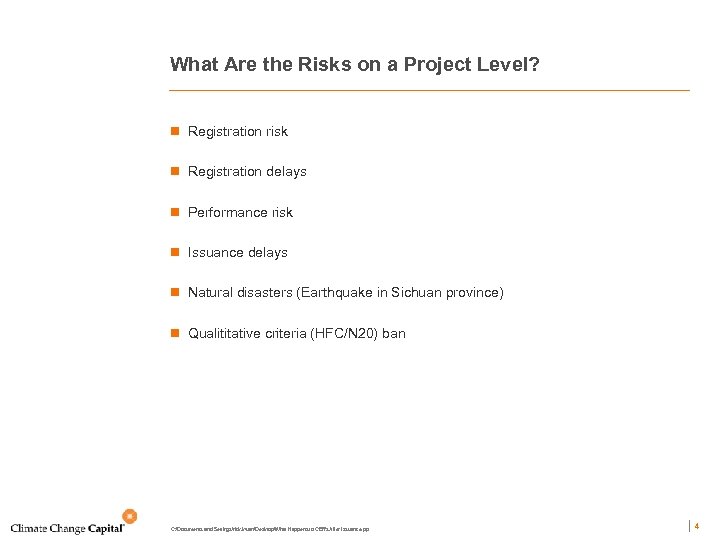 What Are the Risks on a Project Level? n Registration risk n Registration delays
