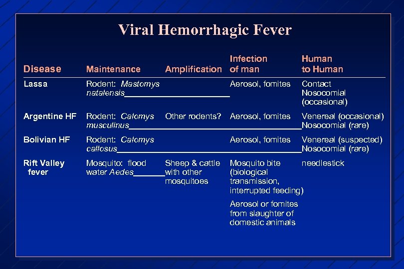 Viral Hemorrhagic Fever Infection Amplification of man Human to Human Disease Maintenance Lassa Rodent: