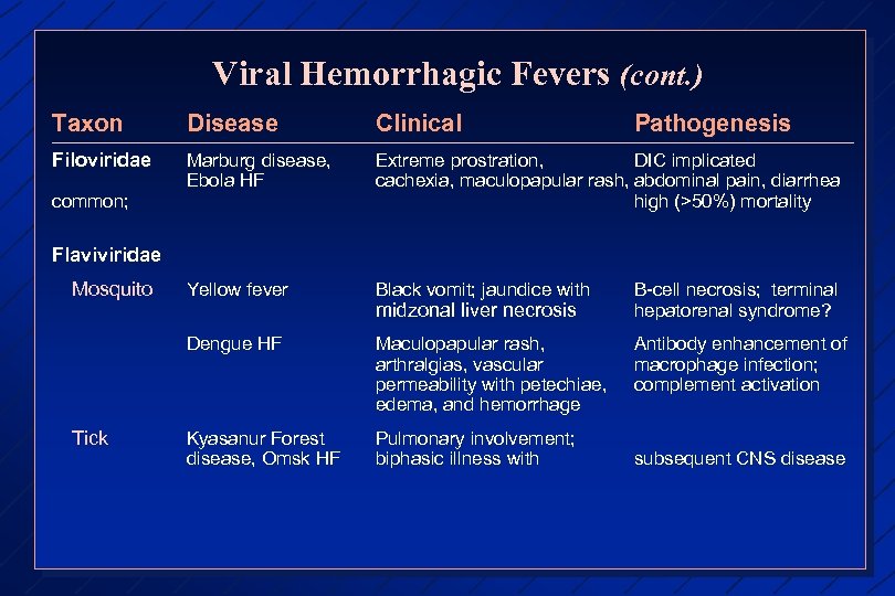 Viral Hemorrhagic Fevers (cont. ) Taxon Disease Clinical Filoviridae Marburg disease, Ebola HF Extreme