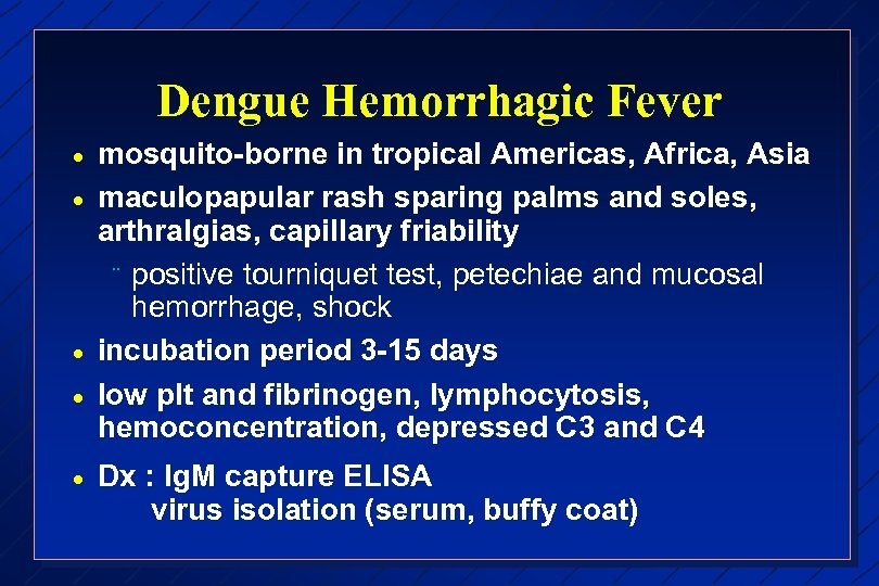 Dengue Hemorrhagic Fever · · · mosquito-borne in tropical Americas, Africa, Asia maculopapular rash