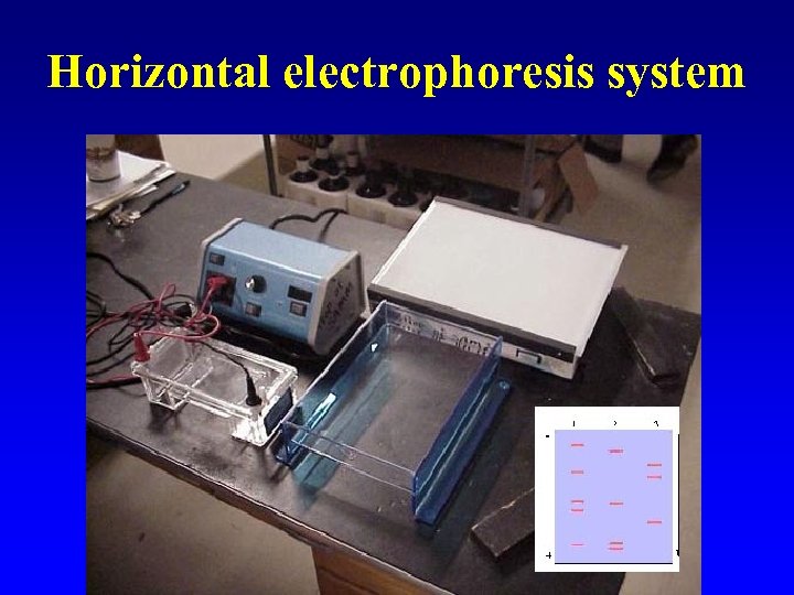 Horizontal electrophoresis system 