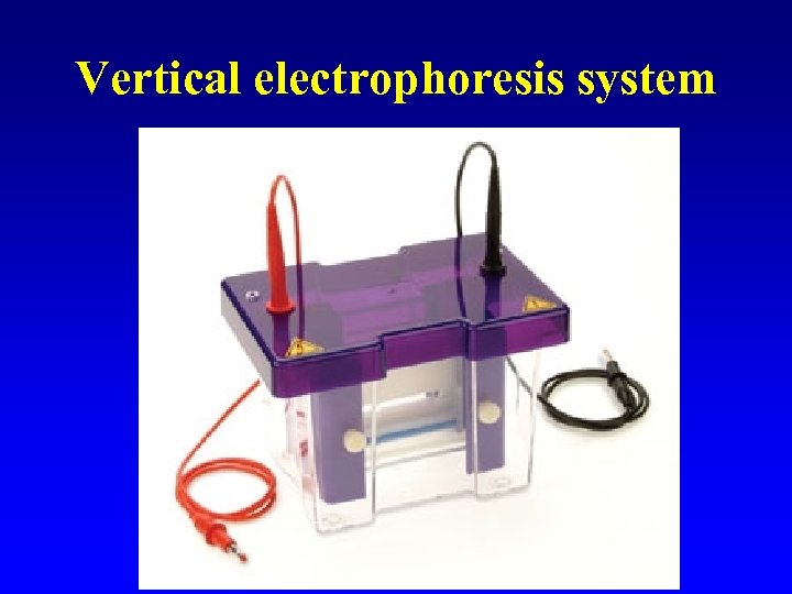 Vertical electrophoresis system 