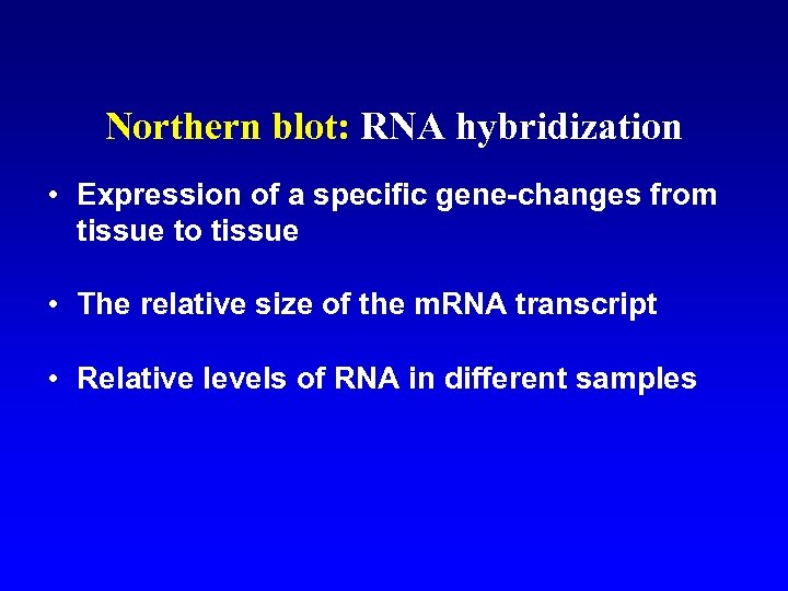 Northern blot: RNA hybridization • Expression of a specific gene-changes from tissue to tissue