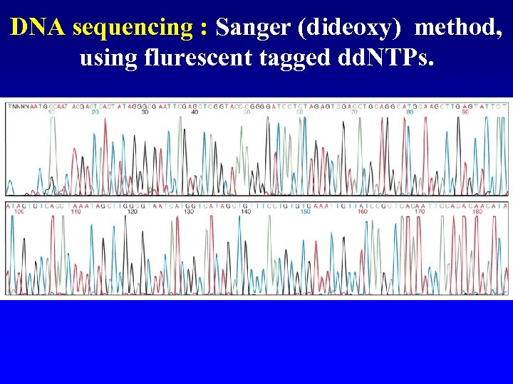 DNA sequencing : Sanger (dideoxy) method, using flurescent tagged dd. NTPs. 