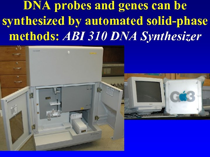 DNA probes and genes can be synthesized by automated solid-phase methods: ABI 310 DNA