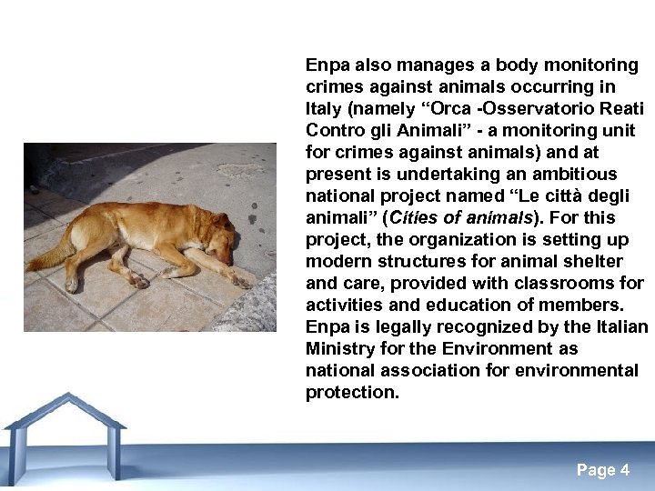 Enpa also manages a body monitoring crimes against animals occurring in Italy (namely “Orca
