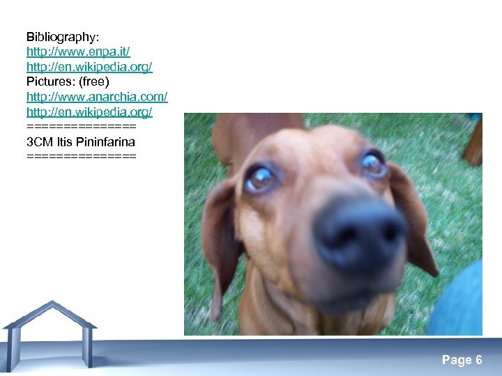 Bibliography: http: //www. enpa. it/ http: //en. wikipedia. org/ Pictures: (free) http: //www. anarchia.