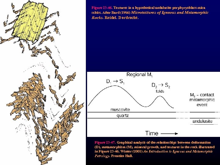 Figure 23 -46. Textures in a hypothetical andalusite porphyryoblast-mica schist. After Bard (1986) Microtextures