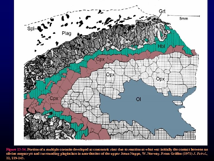 Figure 23 -54. Portion of a multiple coronite developed as concentric rims due to