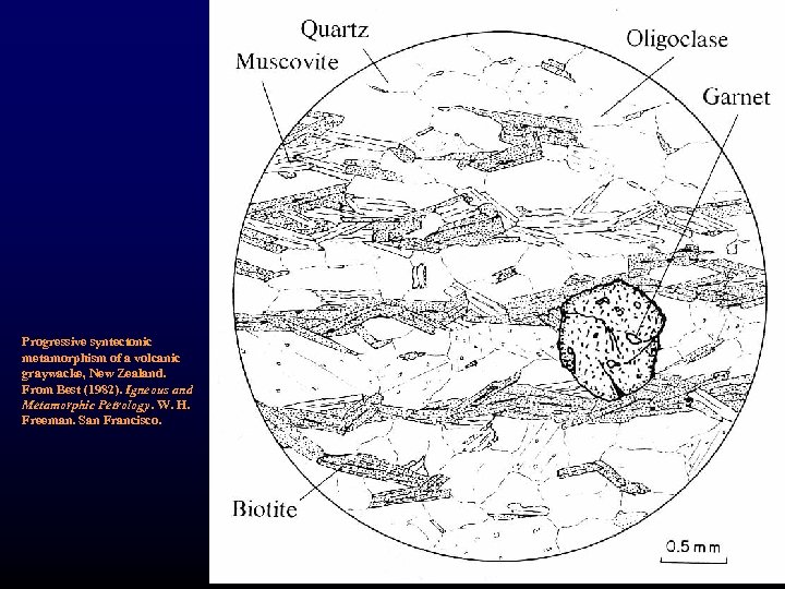 Progressive syntectonic metamorphism of a volcanic graywacke, New Zealand. From Best (1982). Igneous and