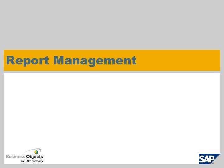 Report Management 