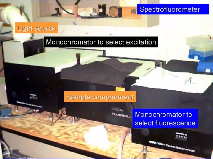 Spectrofluorometer Light source Monochromator to select excitation Sample compartment Monochromator to select fluorescence 