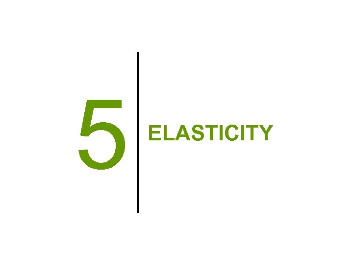 5 ELASTICITY 