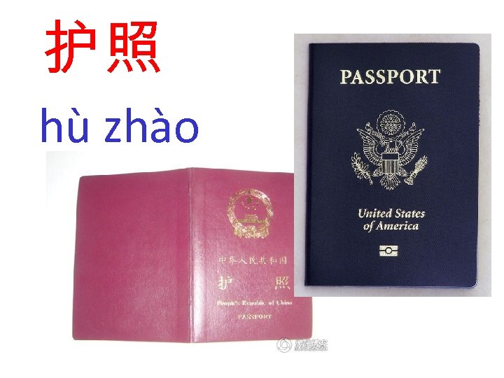护照 hù zhào 
