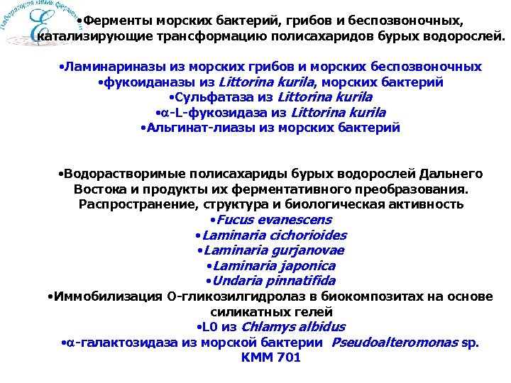  • Ферменты морских бактерий, грибов и беспозвоночных, катализирующие трансформацию полисахаридов бурых водорослей. •