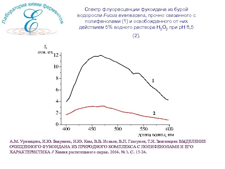 Спектр флуоресценции фукоидана из бурой водоросли Fucus evanescens, прочно связанного с полифенолами (1) и