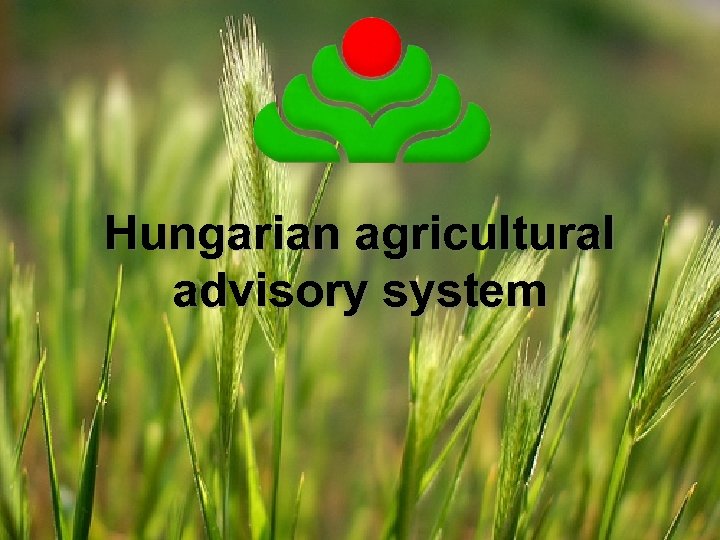 Hungarian agricultural advisory system 