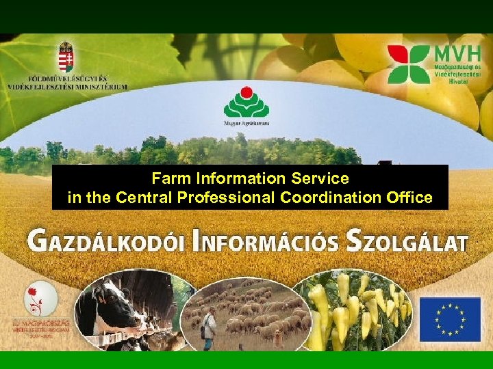 Farm Information Service in the Central Professional Coordination Office 