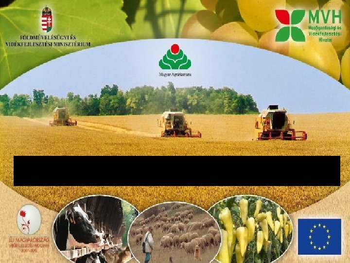 FARM INFORMATION SERVICE IN THE CENTRAL PROFESSIONAL COORDINATION OFFICE 