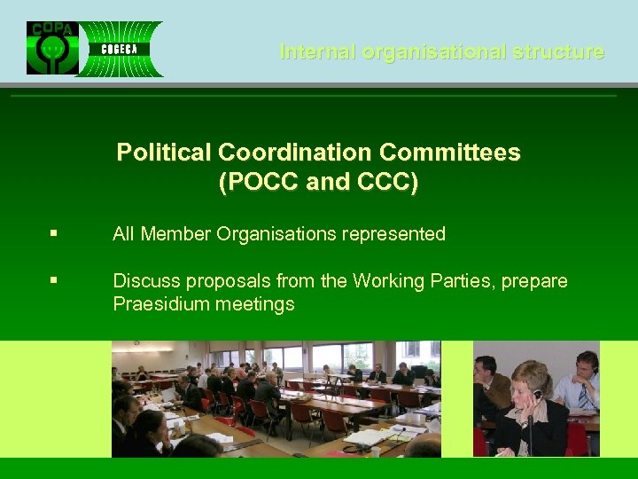 Internal organisational structure Political Coordination Committees (POCC and CCC) § All Member Organisations represented