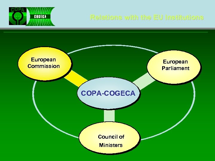 Relations with the EU Institutions European Commission European Parliament COPA-COGECA Council of Ministers 