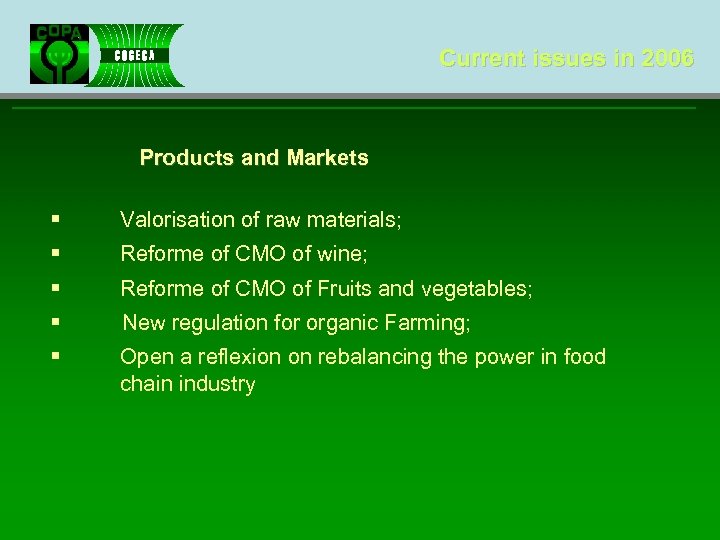 Current issues in 2006 Products and Markets § Valorisation of raw materials; § Reforme