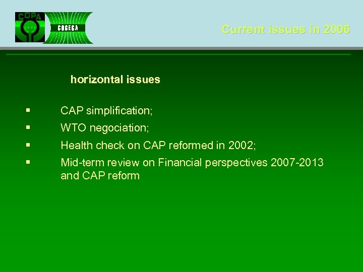 Current issues in 2006 horizontal issues § CAP simplification; § WTO negociation; § Health