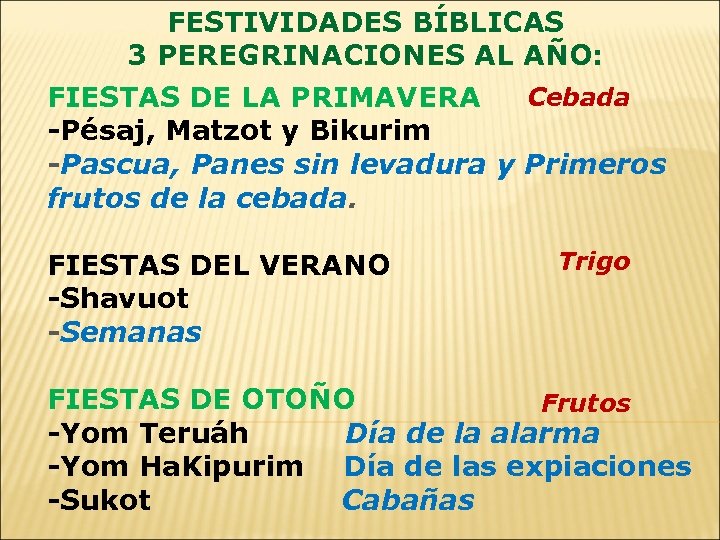 FESTIVIDADES BÍBLICAS 3 PEREGRINACIONES AL AÑO: Cebada FIESTAS DE LA PRIMAVERA -Pésaj, Matzot y