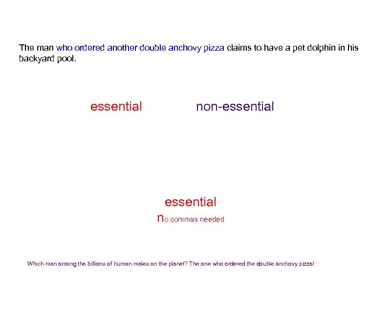 The man who ordered another double anchovy pizza claims to have a pet dolphin