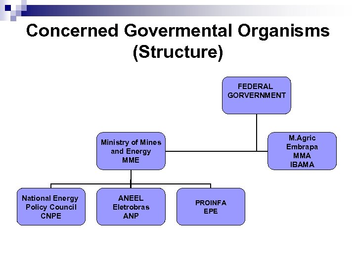 Concerned Govermental Organisms (Structure) FEDERAL GORVERNMENT M. Agric Embrapa MMA IBAMA Ministry of Mines