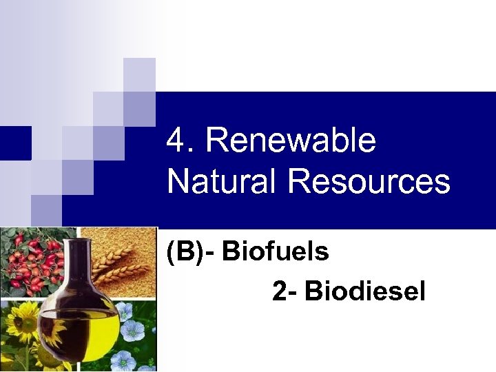 4. Renewable Natural Resources (B)- Biofuels 2 - Biodiesel 