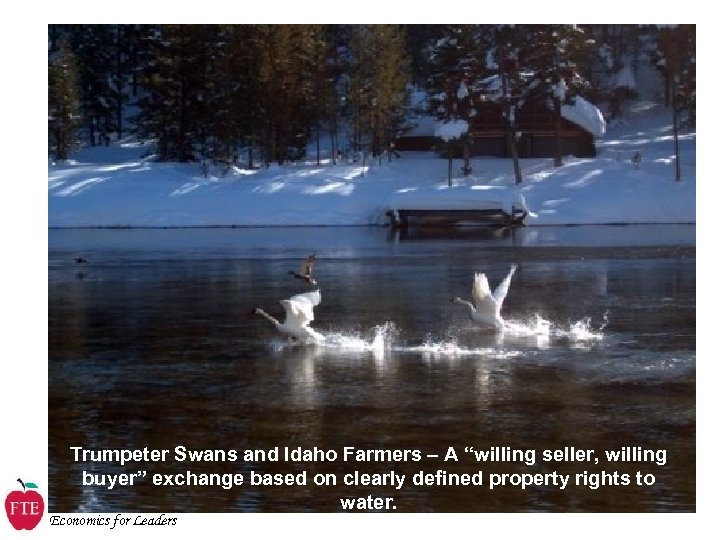 Trumpeter Swans and Idaho Farmers – A “willing seller, willing buyer” exchange based on