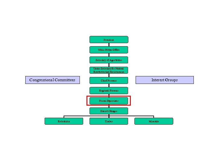 President White House Office Secretary of Agriculture Under Secretary for Natural Resources and Environment
