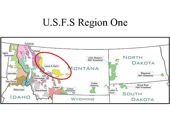 U. S. F. S Region One 