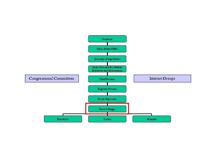 President White House Office Secretary of Agriculture Under Secretary for Natural Resources and Environment