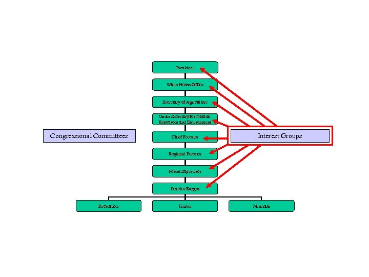 President White House Office Secretary of Agriculture Under Secretary for Natural Resources and Environment