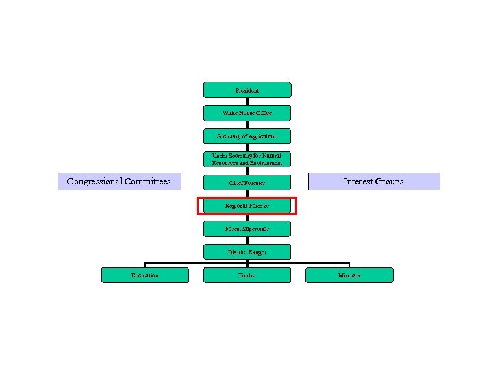 President White House Office Secretary of Agriculture Under Secretary for Natural Resources and Environment