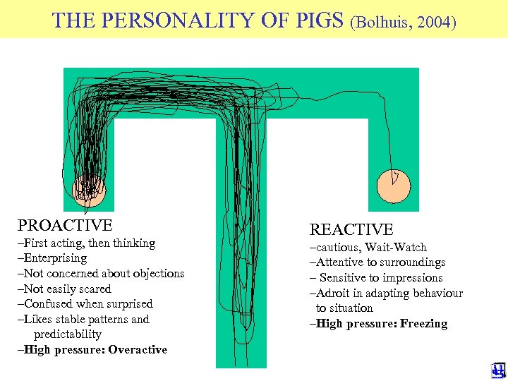 THE PERSONALITY OF PIGS (Bolhuis, 2004) © 2011 JP van de Sande Ru. G