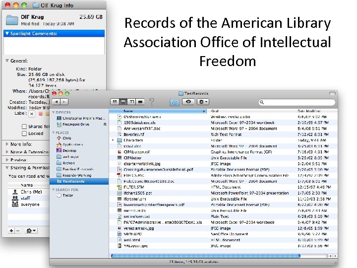 Records of the American Library Association Office of Intellectual Freedom 