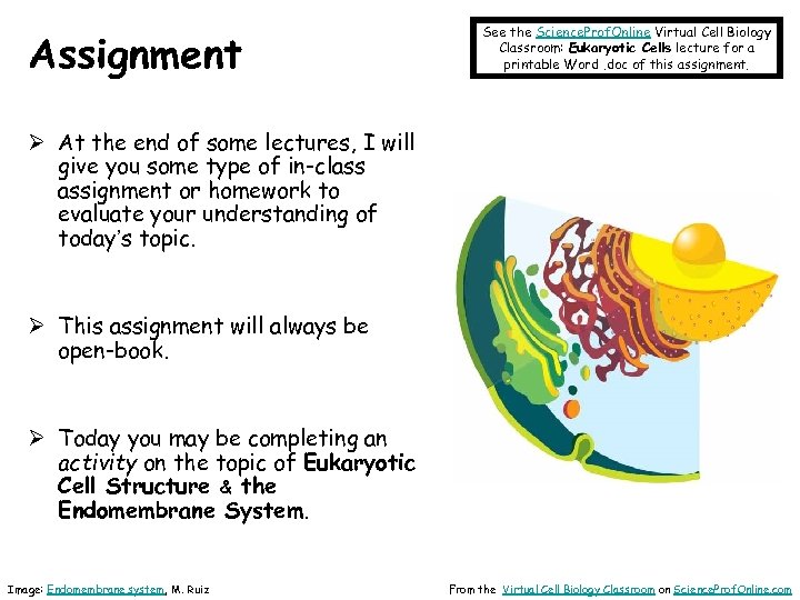 About Science Prof Online Power Point Resources