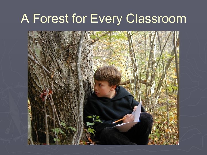 A Forest for Every Classroom 