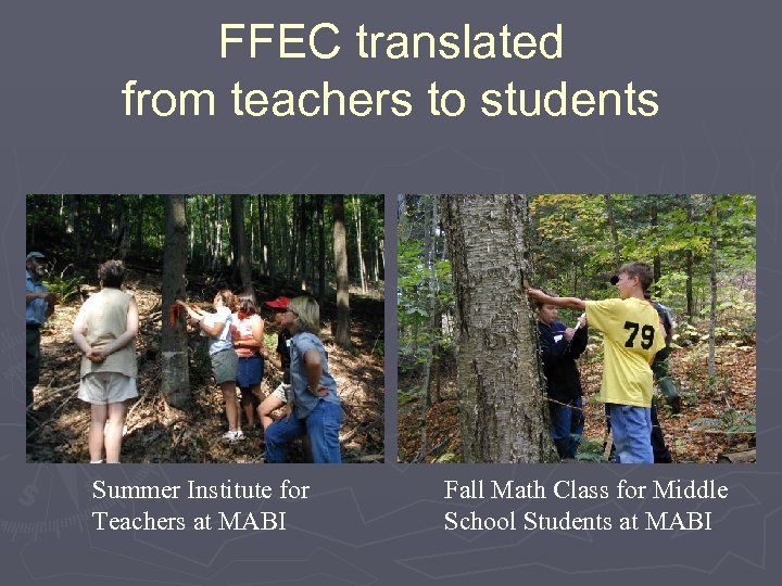 FFEC translated from teachers to students Summer Institute for Teachers at MABI Fall Math