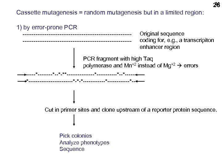 26 26 Cassette mutagenesis = random mutagenesis but in a limited region: 1) by