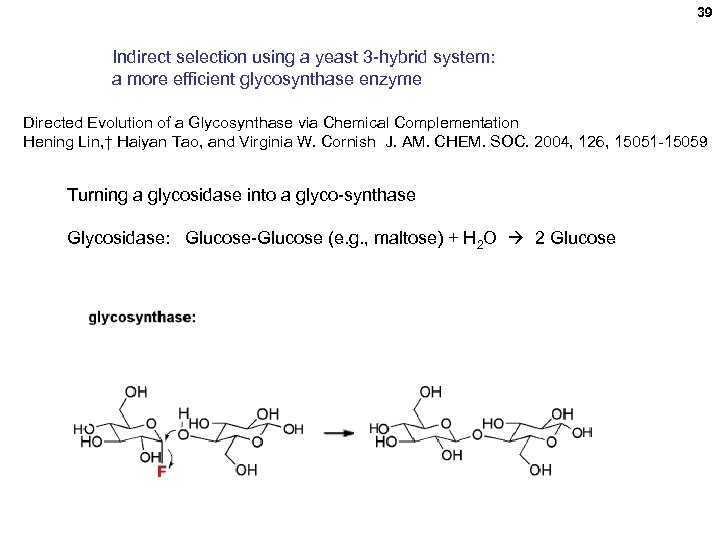 39 Indirect selection using a yeast 3 -hybrid system: a more efficient glycosynthase enzyme
