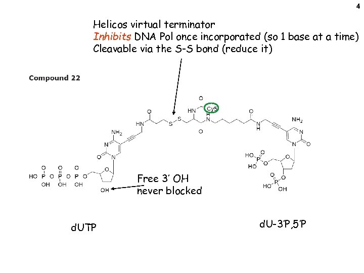 4 Helicos virtual terminator Inhibits DNA Pol once incorporated (so 1 base at a