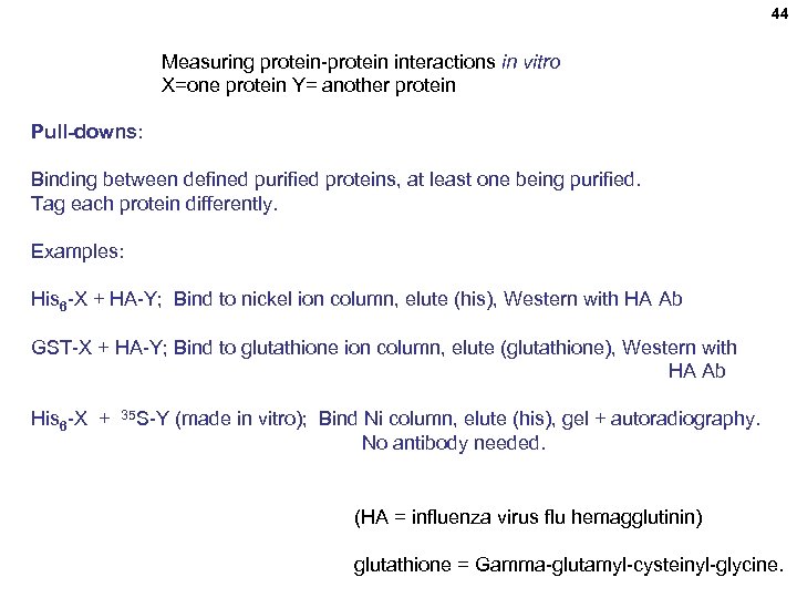44 Measuring protein-protein interactions in vitro X=one protein Y= another protein Pull-downs: Binding between