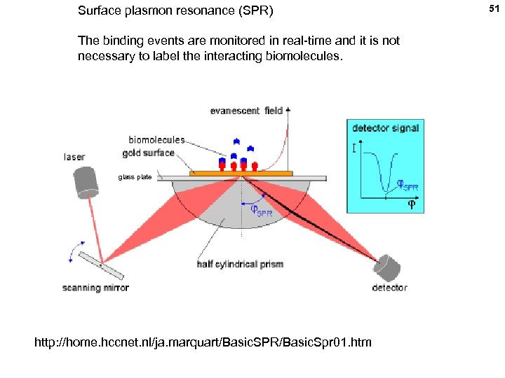 Surface plasmon resonance (SPR) The binding events are monitored in real-time and it is